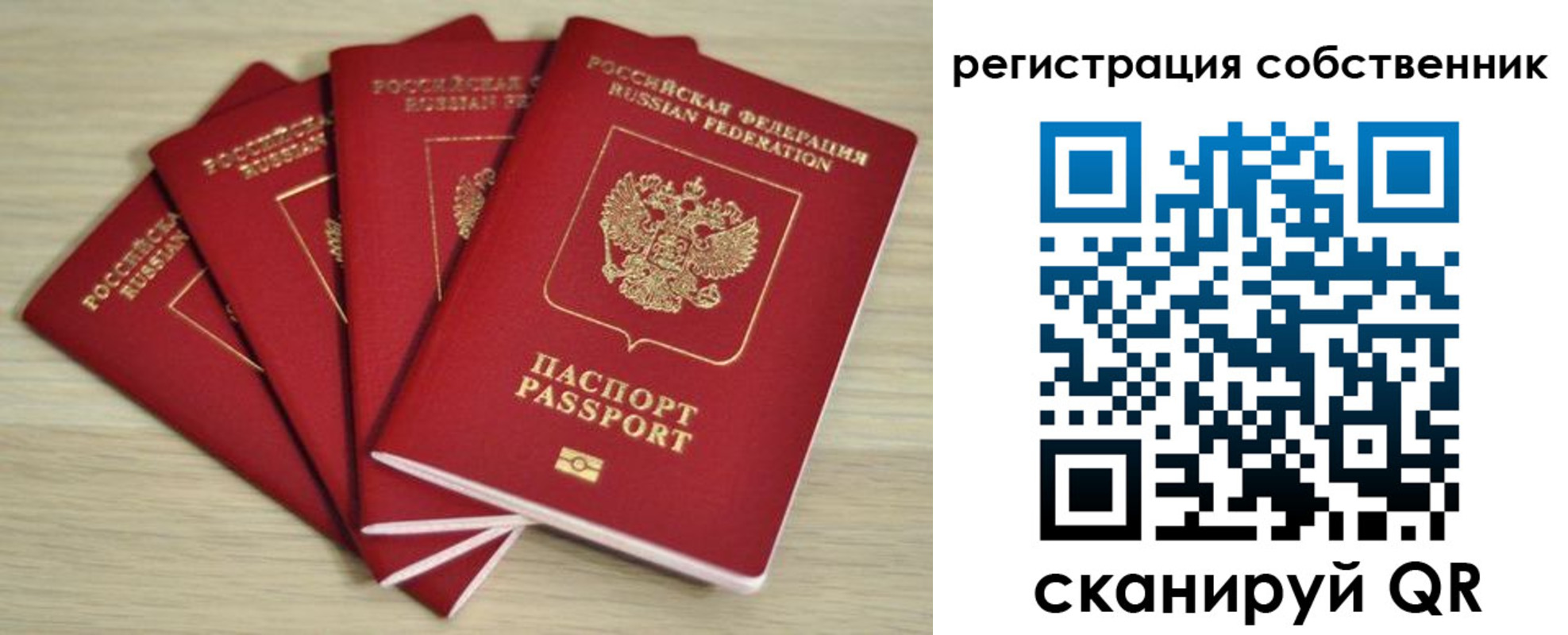 где прописаться в Мончегорске